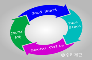 Good heart Pure blood Sound cells Immortal body